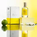 azalea-005 - azal (1).webp