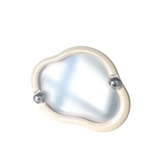 Miroir Décoratif Forme Organique 